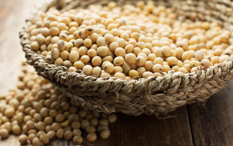 canva-soybean-MAE9HZQXB5Y