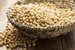canva-soybean-MAE9HZQXB5Y