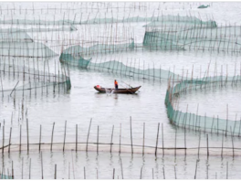 china aquaculture_1