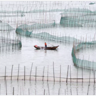 china aquaculture_1