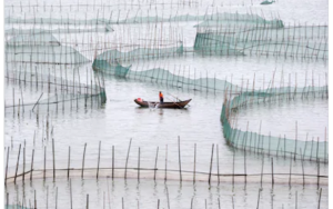 china aquaculture_1