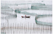 china aquaculture_1