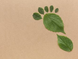 copy-space-leaves-collection