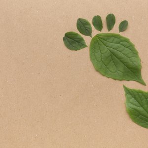 copy-space-leaves-collection
