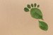 copy-space-leaves-collection