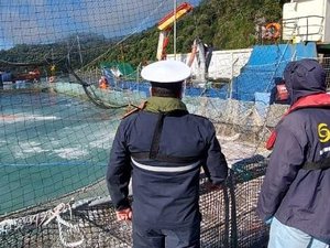 fiscalizacion_mortalidad_1