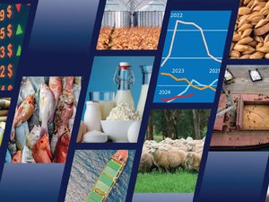 food_outlook_slider_june_2024_web_food-outlook---est-banner