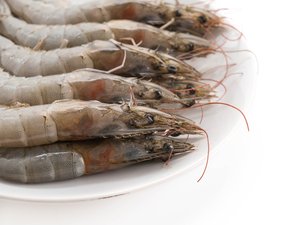 fresh-shrimp-prawn