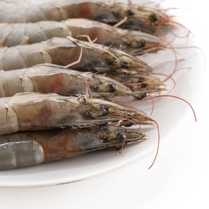 fresh-shrimp-prawn