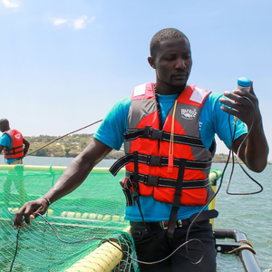 Aller Aqua partners with Kenyan fish farmer to supply feed in the region