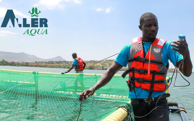 Aller Aqua partners with Kenyan fish farmer to supply feed in the region