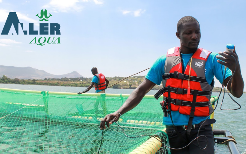 Aller Aqua partners with Kenyan fish farmer to supply feed in the region