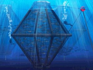 Open-Ocean Aquaculture for the Arabian Sea