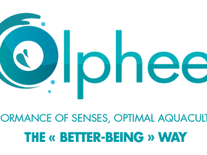 olpheel-logo-sans-fd