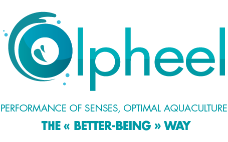 olpheel-logo-sans-fd