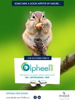 olpheel eat