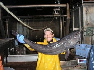 Fishermen file injunction against Canada's Department of Fisheries and a hatchery