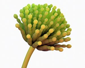 shutterstock_1176407644