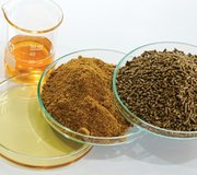 shutterstock_2371647321