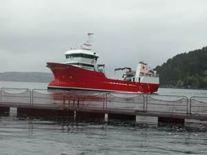 World’s Largest Salmon Farm Opens in Norway for Scale-up of Feeding Trials