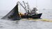 standard_Produce implementa acciones para proteger a la anchoveta, durante la pesca exploratoria en la zona norte-centro