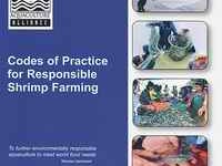 Global Aquaculture Alliance Supports FAO Shrimp Farming Principles