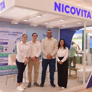 vitarpo_expolarva